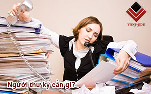 Người thư ký giám đốc cần gì?